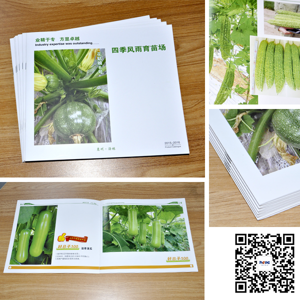 騎馬訂畫冊(cè)印刷